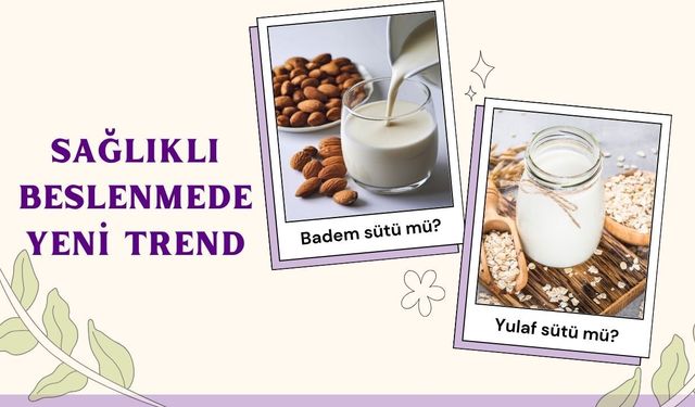 Yulaf Sütü mü Badem Sütü mü Daha Sağlıklı? Karar Vermeden Önce Bunları Okuyun