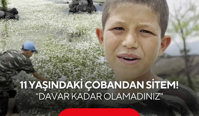11 yaşındaki çobandan insanlık dersi: "Davar kadar olamadınız"