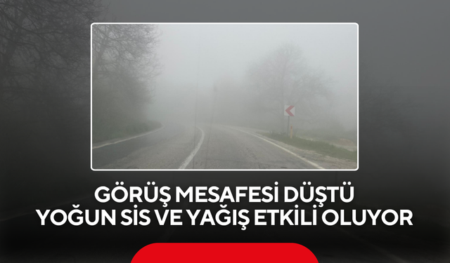 Yoğun sis hayatı etkiledi ! O bölgede dikkat