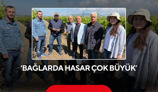 Yalvaç 'Bağlarda hasar çok büyük'