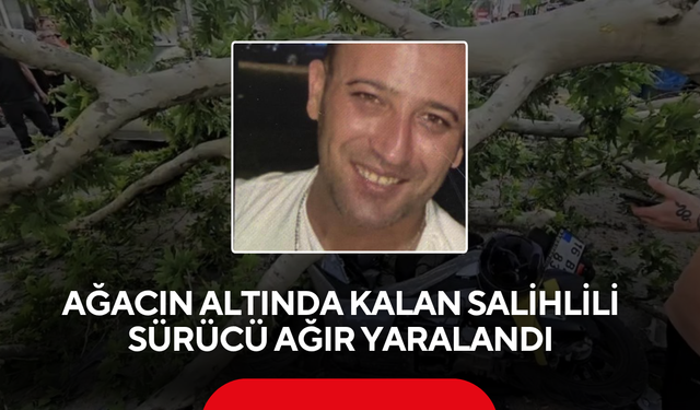 Ağacın altında kalan Salihlili sürücü ağır yaralandı