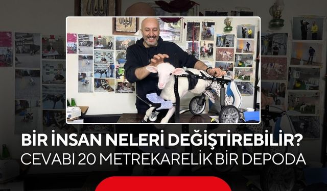 20 metrekarelik depoda yazılan mucize! Hidrolik ustası bin canlıyı yeniden hayata bağladı...