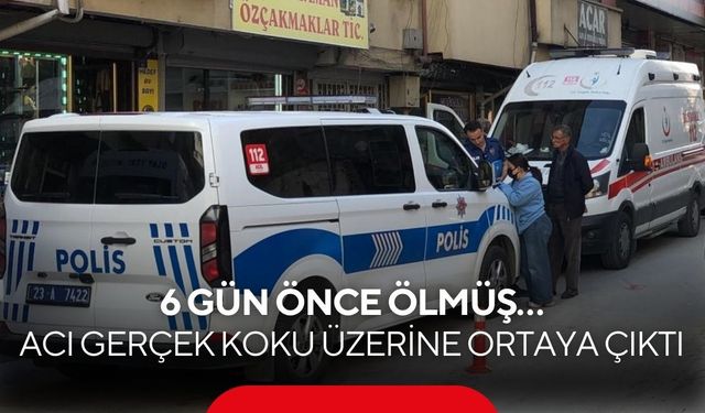 6 gün önce ölmüş… Acı gerçek koku üzerine ortaya çıktı