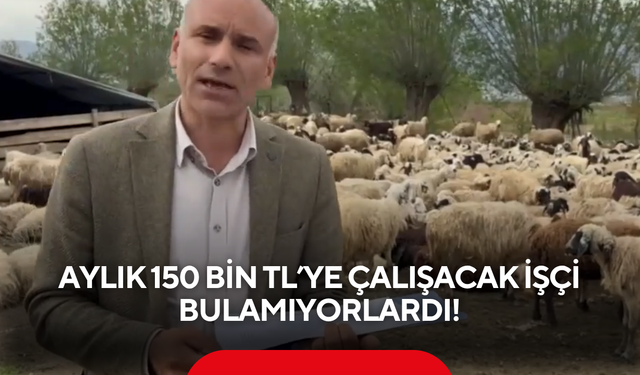 Aylık 150 bin TL’ye çalışacak işçi bulamıyorlardı! Asgari ücretle çalışacak ekip geldi