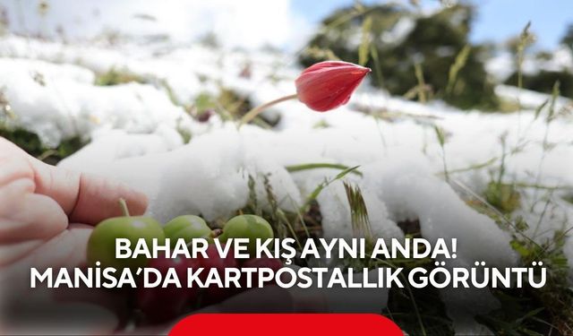 Bahar ve kış aynı anda: Manisa’da kartpostallık görüntü