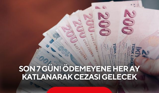 Son 7 gün! Ödemeyene her ay katlanarak cezası gelecek