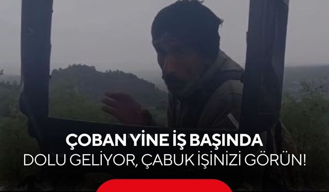 Dağın ortasında canlı yayın gibi hava durumu! İzleyenler kahkahaya boğuldu...