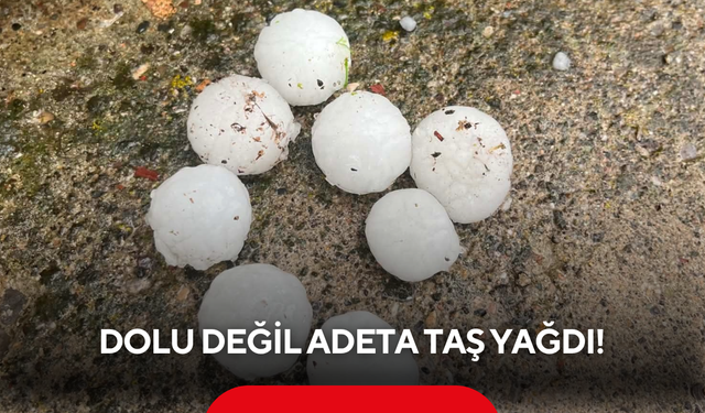 Dolu değil adeta taş yağdı! Araçlar hasar aldı, çiçekler dallarından koptu