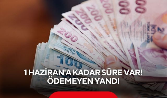 1 Haziran'a kadar süre var! Ödemeyen yandı