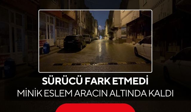 Arkadaşları çığlık attı, sürücü durdu... 4 yaşındaki Eslem yaşam savaşı veriyor