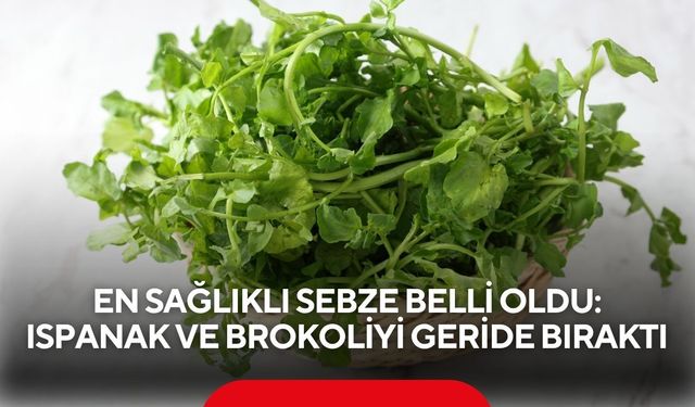 En sağlıklı sebze belli oldu: Ispanak ve brokoliyi geride bıraktı