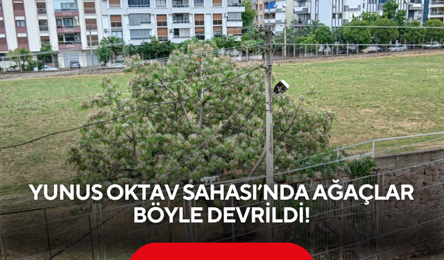 Fırtına Salihli’de etkili oldu, Yunus Oktav Sahası’nda ağaçlar böyle devrildi