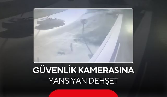 Güvenlik kamerasına yansıyan dehşet! Otomobil banktaki çocukları biçti...