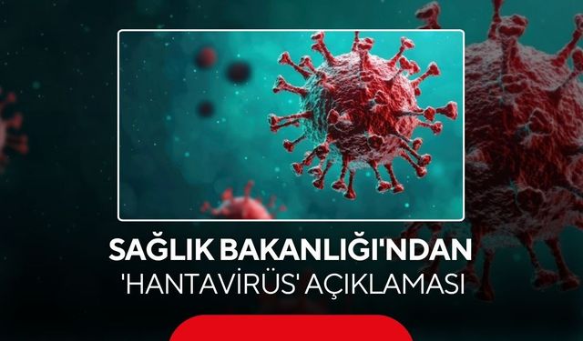 Son dakika... Sağlık Bakanlığı'ndan 'hantavirüs' açıklaması
