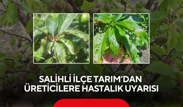 Salihli İlçe Tarım’dan üreticilere hastalık uyarısı