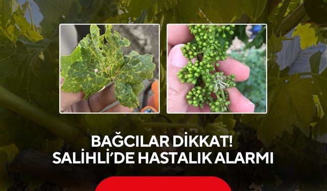 Bağcılar dikkat! Salihli’de hastalık alarmı