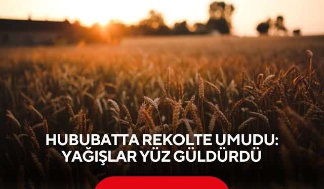Hububatta rekolte umudu: Yağışlar yüz güldürdü