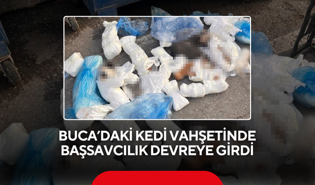 Kan donduran olay ! Başsavcılık itiraz etti, veteriner hekim tekrar gözaltına alındı...