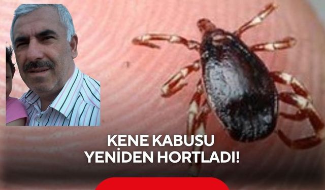 Kene kabusu yeniden hortladı! Memleketine giden adam hayatını kaybetti