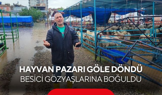 Kurban bayramı öncesi büyük mağduriyet! Hayvan pazarı sular altında...