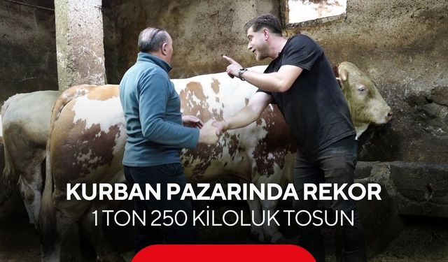 Kurban pazarına damga vuran satış! Dev kurbanlık dudak uçuklatan fiyata gitti