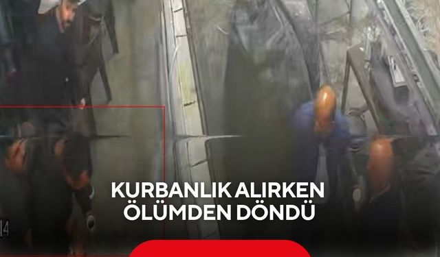 Kurbanlık alırken ölümden döndü