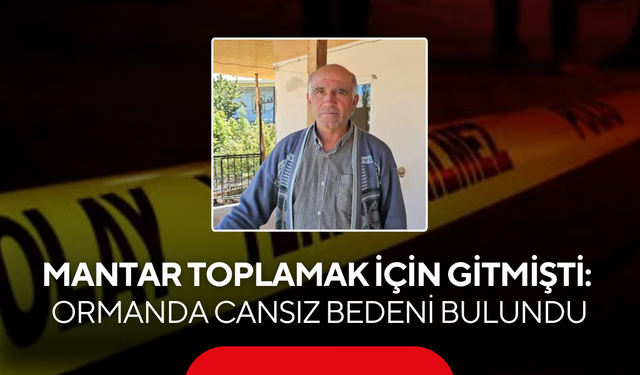Mantar toplamak için gitmişti: Ormanda cansız bedeni bulundu