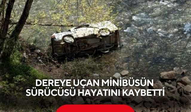 Dereye uçan minibüsün sürücüsü hayatını kaybetti