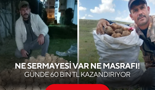 Ne sermayesi var ne masrafı! Günde 60 bin TL kazandırıyor...