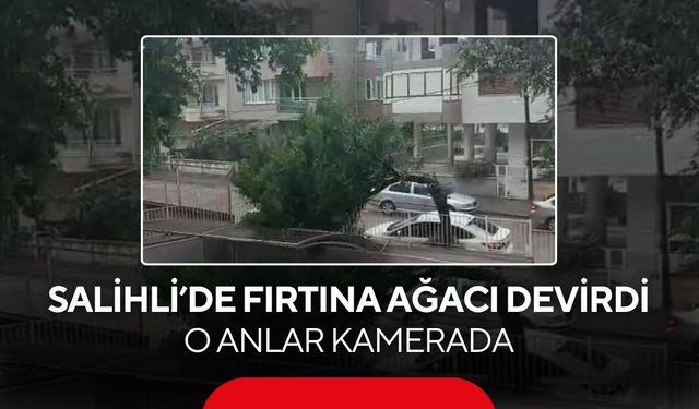 Salihli’de fırtına ağacı devirdi: O anlar kamerada