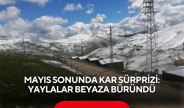 Mayıs sonunda kar sürprizi: Yaylalar beyaza büründü