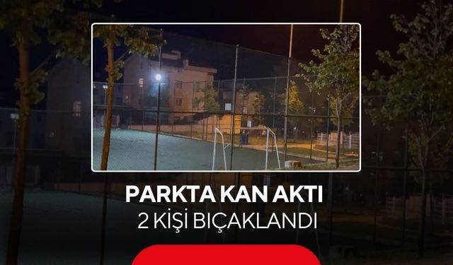 Parktaki kavgada kan aktı: 2 kişi bıçaklandı