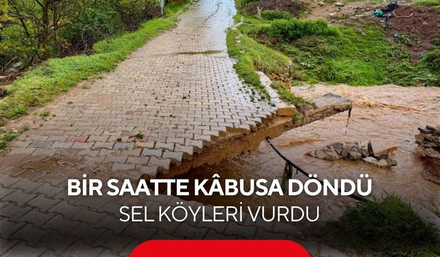 Sel suları her şeyi sildi süpürdü... İki köy felaketi yaşadı...