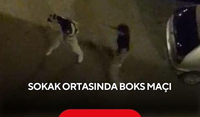 Sokak ortasında boks maçı! Dakikalarca yumruklaştılar | Boks ringlerini aratmayan kavga kameraya böyle yansıdı...