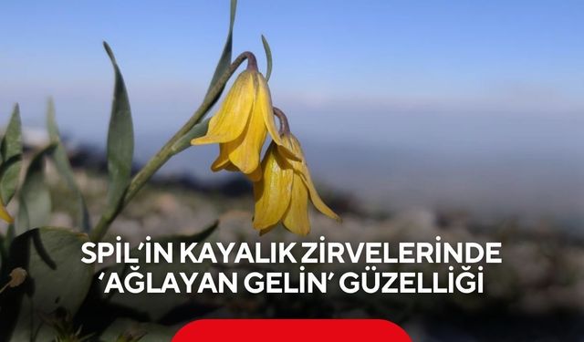 Spil’in kayalık zirvelerinde ‘ağlayan gelin’ güzelliği