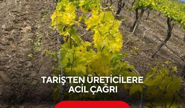 TARİŞ’ten üreticilere acil çağrı
