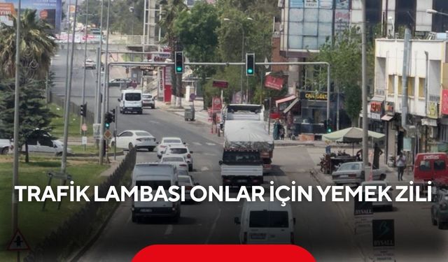Trafik lambası onlar için yemek zili...