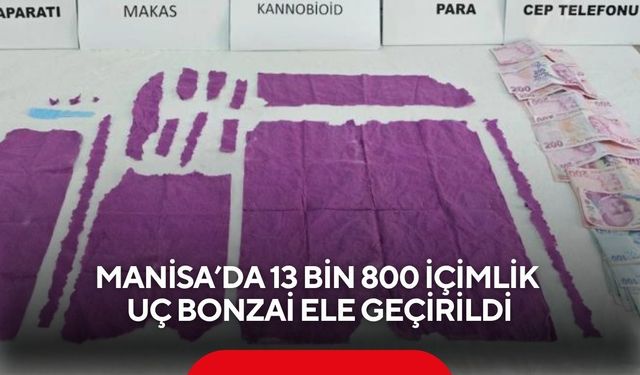 Manisa'da 13 bin 800 içimlik uç bonzai ele geçirildi