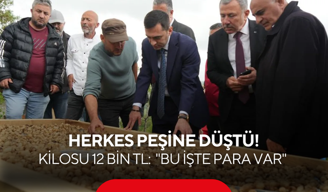 Üreticiler sırrını paylaştı: Küçük alandan servet kazandıran o ürünün hasadı başladı