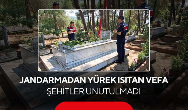 Jandarmadan yürek ısıtan vefa... Şehitler unutulmadı