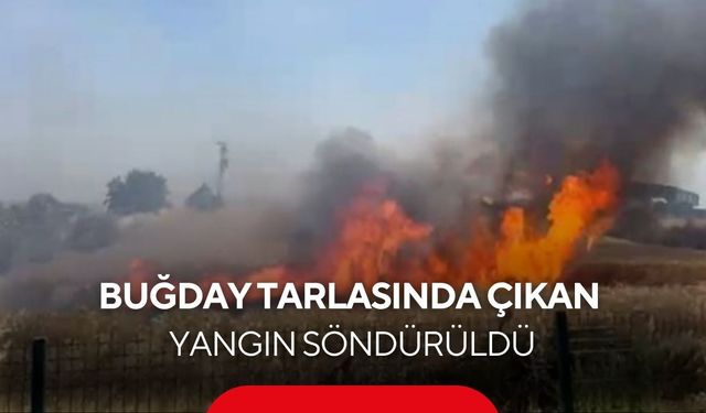 Buğday tarlasında çıkan yangın söndürüldü