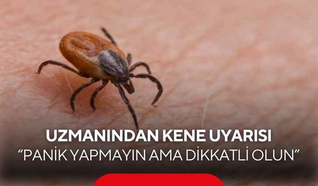 Kene vakalarına karşı uzman uyardı! “Panik yapmayın, doğru müdahale önemli”