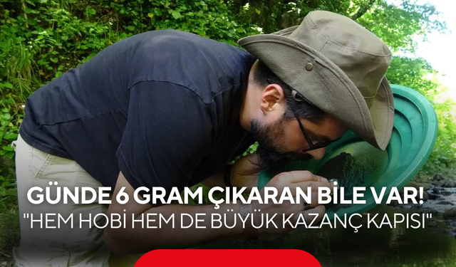 Günde 6 gram çıkaran bile var: "Hem hobi hem de büyük kazanç kapısı"