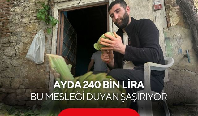 Günde bin enginar, ayda 240 bin lira! Bu mesleği duyan şaşırıyor...