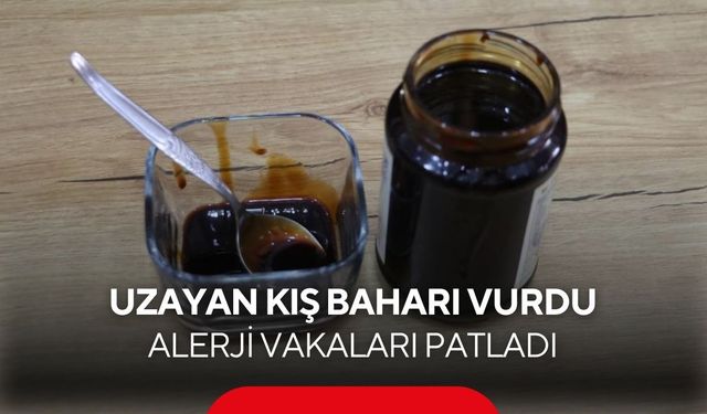 Hapşırık, burun tıkanıklığı, kaşıntı… Bahar alerjisine karşı doğal kalkan!