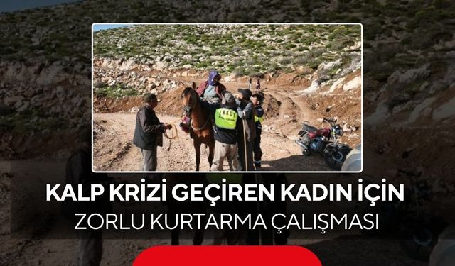Kalp krizi geçiren kadın, katır sırtında sağlık ekiplerine ulaştırıldı