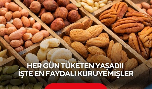 Her gün tüketen yaşadı! İşte en faydalı kuruyemişler