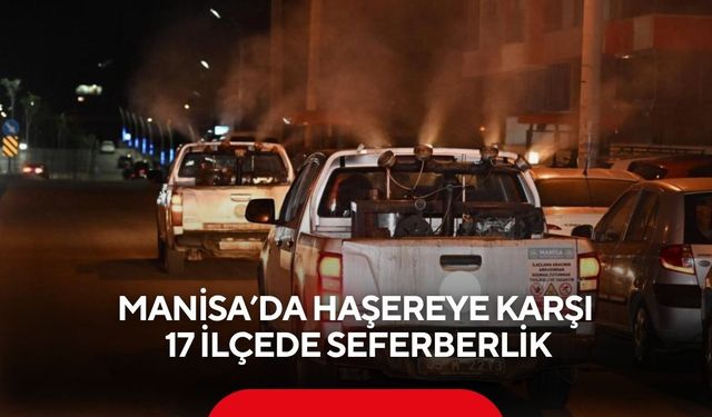 Manisa’da haşereye karşı 17 ilçede seferberlik