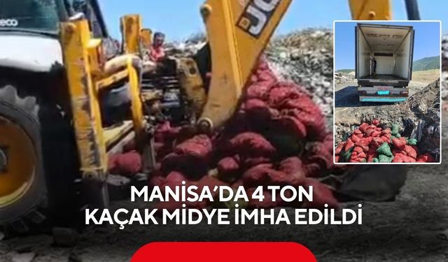 Manisa'da otoyolda şok baskın: 4 ton menşei belirsiz midye ele geçirildi