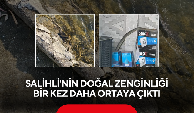 Birisi 2 metre, diğeri Kanyonun derinliklerinde... Salihli'de iki farklı yılan türü kameralara yansıdı
